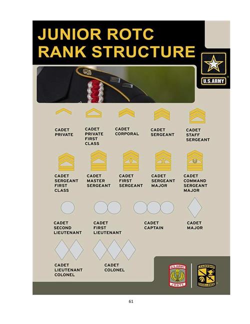 Rank Chart